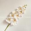 Flor de Seda de Alta Gama Phalaenopsis Diseño Floral para Bodas Techo Floral Flor de Simulación Venta al por Mayor
