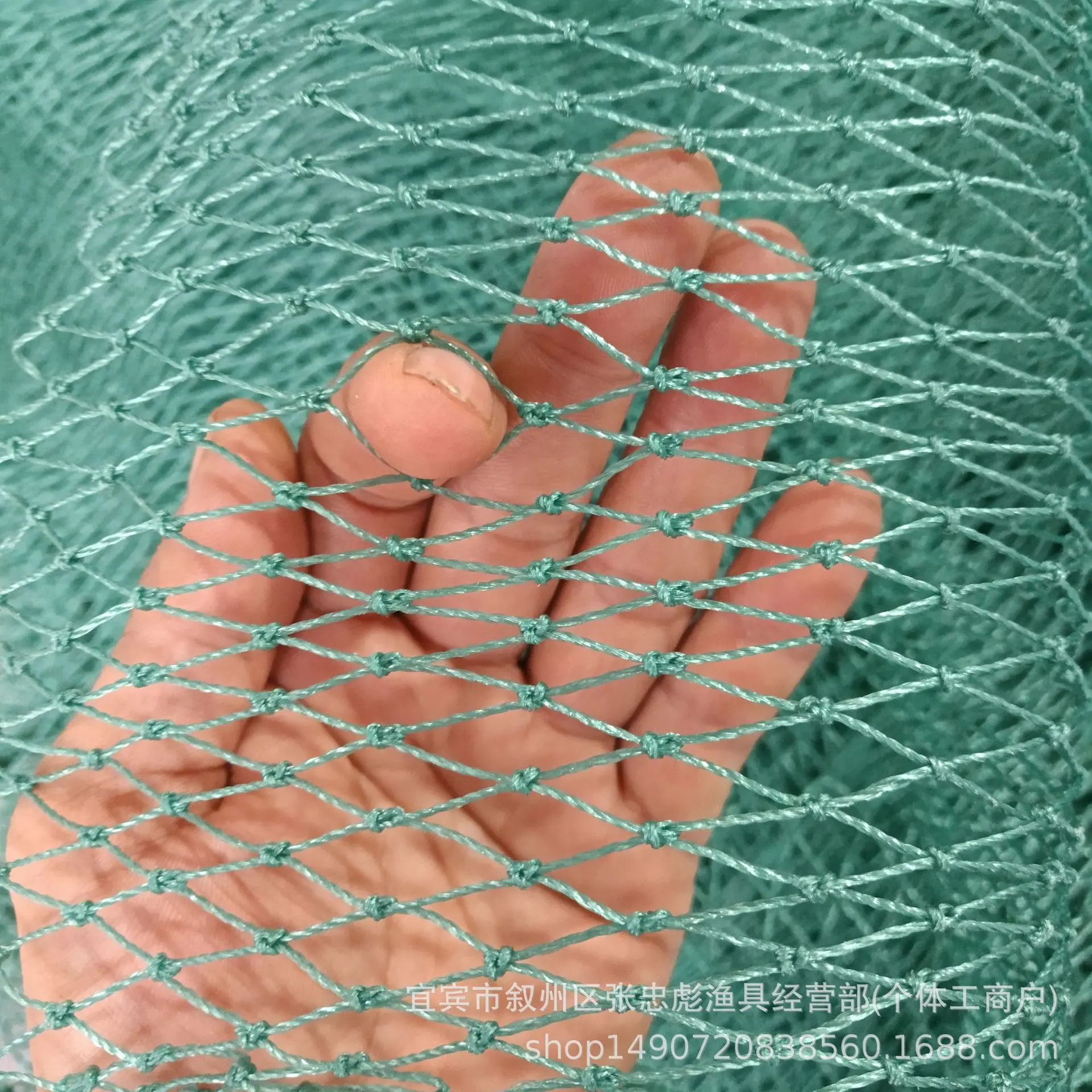 1指3公分