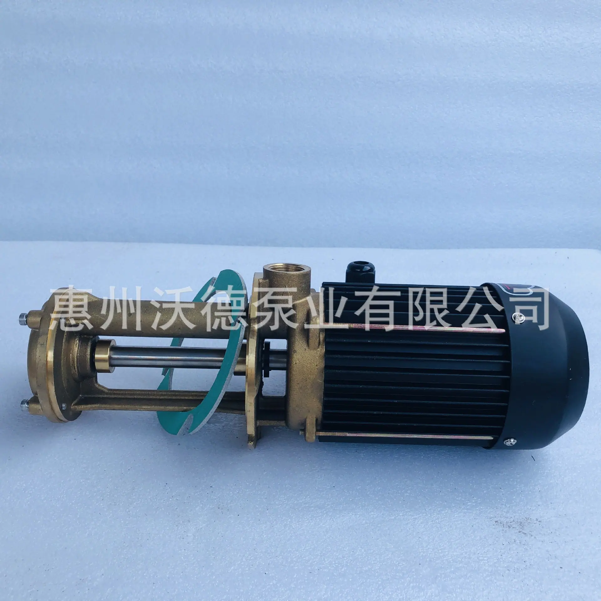 WL-07-150油 泵58