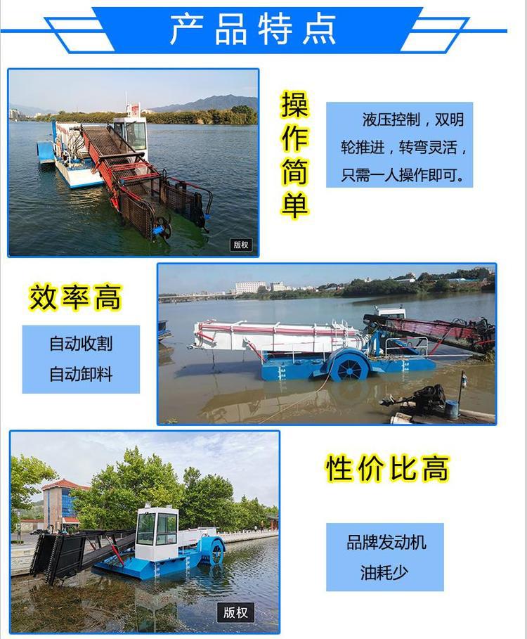 u=1532655952,3119949149&fm