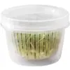 Caixa de armazenamento de cebola, gengibre e alho para cozinha, caixa redonda para preparo, caixa de conservação de temperos de cebola, alho e gengibre para geladeira com tampa e drenagem