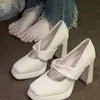 Elegantes e delicados saltos altos estilo francês para mulheres, nova coleção de outono 2026, perfeitos para figuras baixinhas e vestidos, apresentando um salto grosso e design Mary Jane