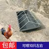 Alimentador automático para patos y gansos para cría de pollos bebedero comedero para patos comedero de polipropileno grueso comedero para aves de corral bebedero
