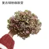 Flores de Hortensia Secas con Degradado Grande Hortensias Conservadas Cabezas de Flores Grandes Color Mixto Multicolor Hortensias Secas Decoración del Hogar Materiales Florales