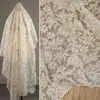 Encaje de gloria de la mañana de albaricoque francés bordado de malla degradado translúcido vestido de noche bordado falda de vestido de boda tela para ropa