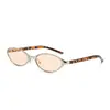 Nuevas Gafas de Sol Ovaladas de Moda, Gafas de Sol de Gama Alta Estilo Ojo de Gato, Gafas Retro Y2K Modernas Geniales Anti-UV