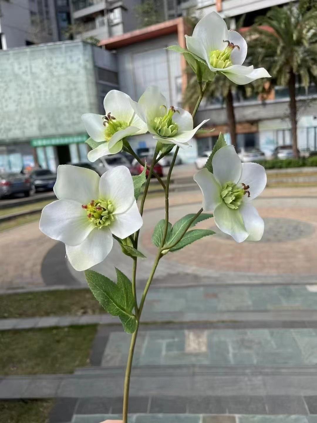 微信图片_20240724141229.jpg