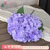Simulación 225 piezas 5 cabezas Ramo de Hortensias Diámetro Grande Hortensias al por Mayor Transfronterizo Flores Artificiales de Seda Flores de Boda de Alta Calidad