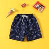 Shorts de Verão para Crianças, Calções de Praia, Calções de Natação, Roupa Exterior Casual Solta para Meninos, Calças Largas, Calças Cinco Pontos da Moda Desenho Animado