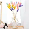 Ins Buquê Flor Decoração de Casa Sala de Estar Enfeites Galhos Secos Arranjo de Flores Capim Rabo de Coelho Capim Rabo de Cachorro Flor Seca Flor Artificial
