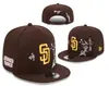 Serie de Dibujos AnimadosPouChangAnFo Venta al por mayor Transfronteriza Gorra de Béisbol AA Gorra de Equipo Gorra para Deportes al Aire Libre