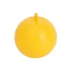 Trampa para moscas de la fruta amarilla, plaga amarga, árbol frutal, insecto pegajoso, trampa para moscas pegajosa, agrícola, cítricos, naranja
