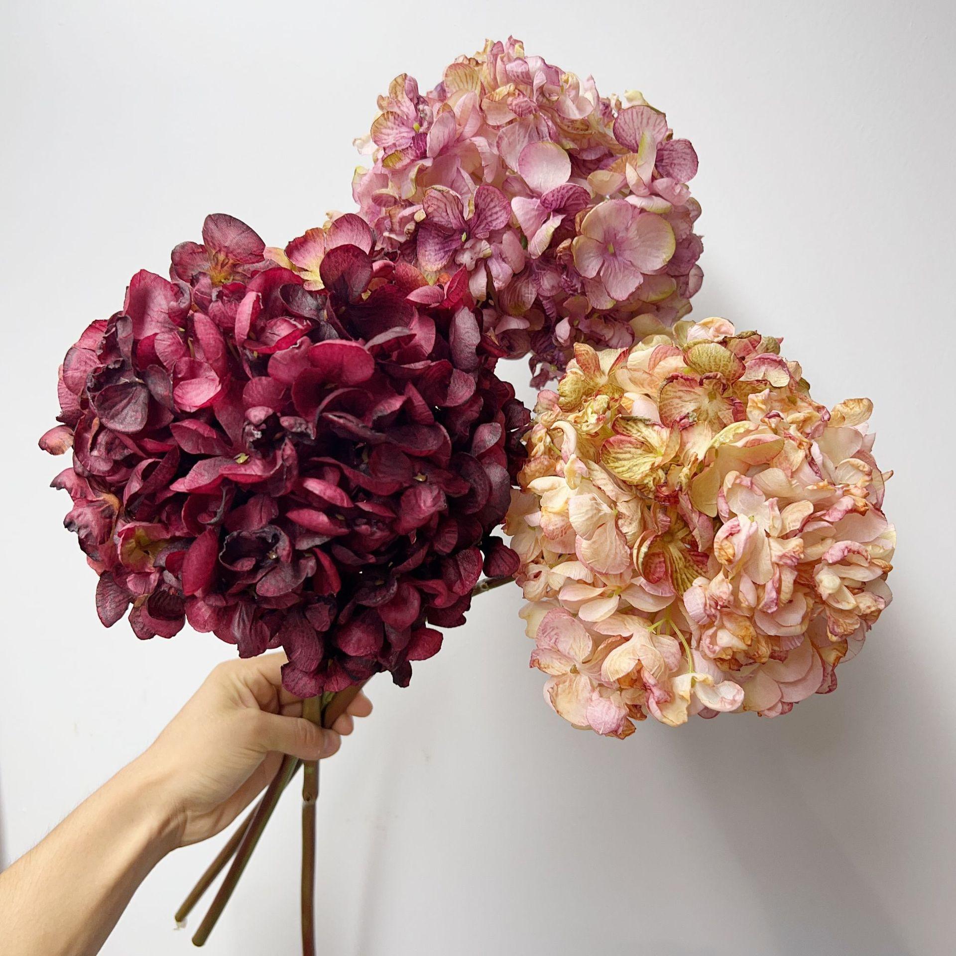 微信图片_20230913114630_1