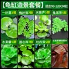 Plantas aquáticas lentilhas d'água, plantas de purificação tradicionais para aquário, esconderijo para tanque de tartaruga, jacinto d'água hidropônico, plantas aquáticas flutuantes para aquário