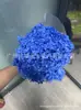 [Niebla Natural Hortensia] Flor Eterna Flor Seca Hortensia Anna Hortensia Lobular Material para Boda DIY Venta al por Mayor
