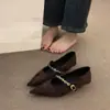 Sapatos de Corrente de Café com Salto Irregular Estilo Noturno para Mulheres, Sapatos de Bico Fino com Salto Médio Estilo Francês de Outono para o Dia a Dia