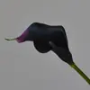 Decoración Floral para el Hogar al por Mayor Transfronteriza Lirios de Calas de Tacto Real de Tamaño Mediano para Arreglos Florales de Sala de Estar y Mesa de Comedor Flores Artificiales