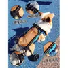 Suministros para mascotas transfronterizos de Amazon: ayuda de movilidad para perros mayores, vehículo especial de rehabilitación para perros con patas lesionadas o discapacitadas