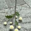 Simulación verde de una pequeña bola de cebolla, nueva bola de cebolla verde de 7 piezas, bola blanca y roja, decoración de paisaje suave para bodas, lote de flores falsas.
