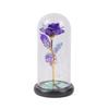Pantalla de Cristal de Flor Eterna Rosa Flor Artificial Regalo Creativo Decoración Festival Qixi Día de San Valentín Regalo Exquisito