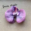 Cabeça de Flor de Orquídea Phalaenopsis Artificial, Textura de Película Impressa em 3D, Buquê Exquisito para Decoração de Casamento e Lembrança