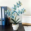 27 Plantas de Orquídea Mariposa Artificiales con Textura Realista, Decoraciones en Maceta para Mesas de Hotel y Restaurante, Flores Falsas de Jardinería y Plantas Verdes Bonsái