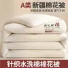 Algodón de grado A de Xinjiang, edredón de invierno grueso, juego de edredón, edredón de primavera y otoño, regalo para dormitorio de estudiante, núcleo de edredón para todas las estaciones