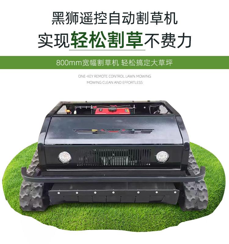 黑狮800详情页_03.jpg