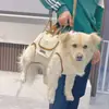 Perro Mascota Perros Pequeños Portátil Cruzado Bolso Transportador para Mascotas Bolsa Transportadora de Dibujos Animados Gato Multifuncional Bolsa para Mascotas