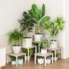 Estante Organizador de Almacenamiento para Cocina y Sala de Estar de Venta Caliente Transfronterizo, Estante para Plantas Suculentas y Flores, Estante de Almacenamiento Multicapa de Pie