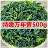 Novedad Aspidistra 500g Verduras Secas Verduras Deshidratadas Verduras Verdes Secas Verduras de Oliva Secas Artículos Secos Corazones de Verdura Tiernos Verdura Silvestre Seca
