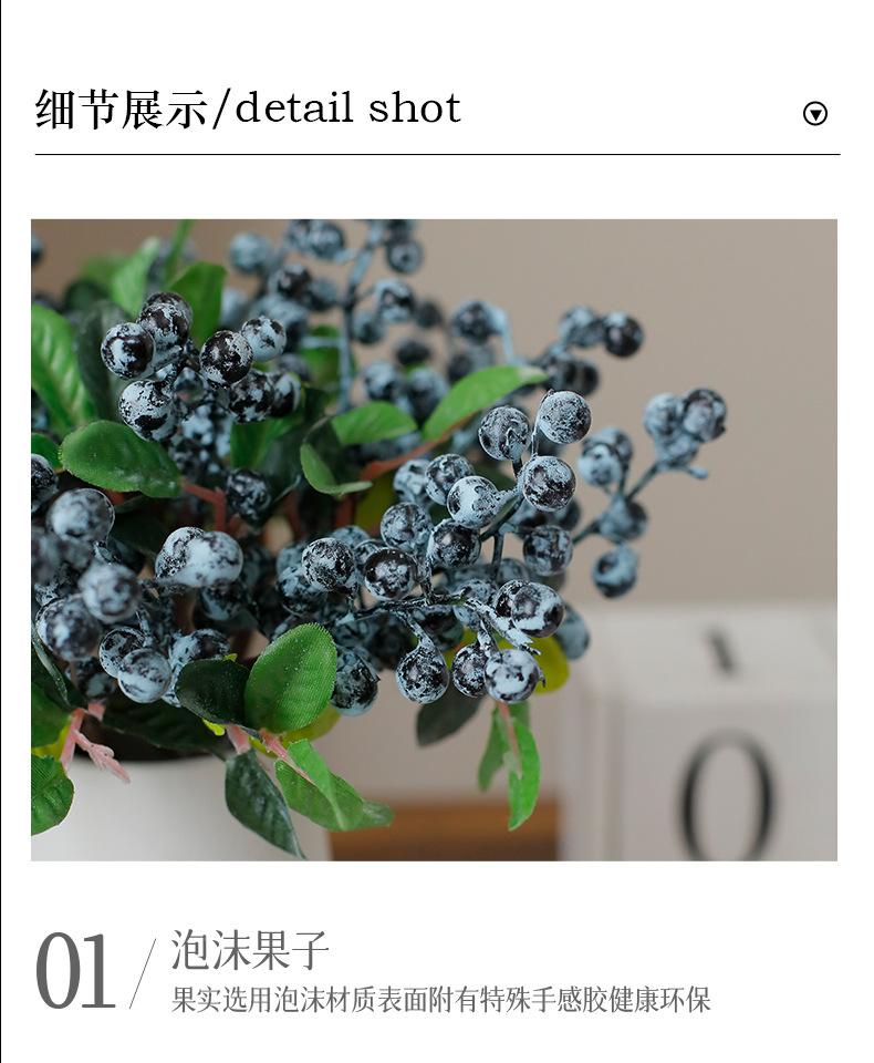小号浆果_10