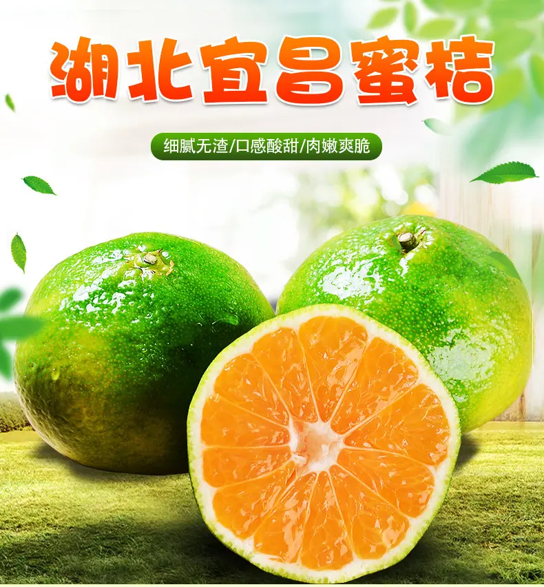 湖北宜昌蜜桔详情图1