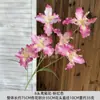 Flores Artificiais Íris de 6 Cabeças Orquídea Flor Casamento Decoração Suave Decoração de Casa Exterior Estilo Floral Pastoral Adereços Flores Falsas