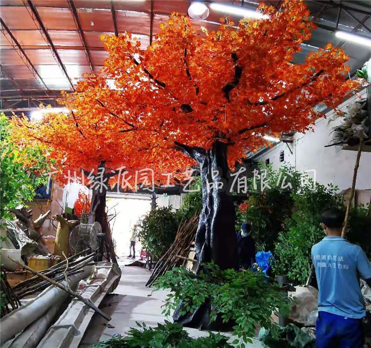 枫树红枫树绿枫170.jpg