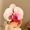 Grampo de Cabelo Phalaenopsis de Fada ~ Grampo de Cabelo Flor de Fada Super Princesa Francesa Placa de Grampo Acessórios de Cabelo Ambiente Adereços de Cabeça Mulheres