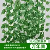 Decoración de Hoja de Uva de Ratán, Enredadera de Flores Artificiales, Planta Verde Envuelta en Tubo, Hojas Colgantes de Techo, Hiedra Verde de Plástico