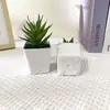 Novo Vaso Quadrado Aloe Vera Artificial Grama Espada Suculenta Pequeno Bonsai Plantas Verdes Artificiais Enfeites Decorações de Mesa para Casa e Escritório