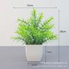 Venda quente transfronteiriça planta artificial planta artificial planta verde interior e exterior decorativo vaso de plástico eucalipto pequeno pote atacado