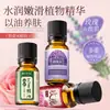 Beleza da pele lavanda rosa artemísia gengibre óleo essencial salão de beleza raspagem massagem corporal massagem óleo essencial atacado