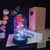 Flor Preservada em Acrílico Rosa com Folha de Ouro e Lâmpada LED Quente Presente de Dia dos Namorados Presente de Aniversário Fornecimento Transfronteiriço