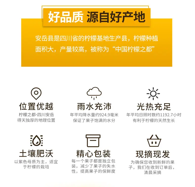 安岳黄柠檬新果上市详情图4