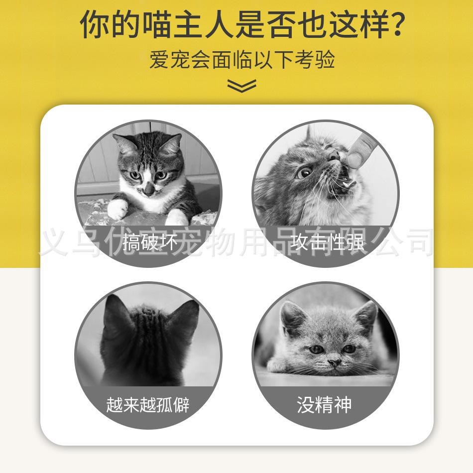 彩竿单羽详情_02