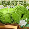 Incienso con Aroma a Jazmín y Gardenia, Sándalo Repelente de Mosquitos, Aroma Duradero para el Hogar en Interiores, Aroma Natural a Lavanda y Osmanthus
