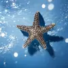 Adornos de Escritorio de Estrella de Mar Sólida Chapada en Latón de Venta Caliente Transfronteriza, Artesanías de Trilobites y Creaciones Culturales