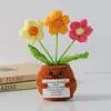 Flor de Tricô de Energia Positiva Transfronteiriça Planta em Vaso Produto Acabado Fio de Lã Flor de Simulação Ornamento de Mesa Boneca de Cartão de Mão