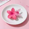 Novo Prendedor de Cabelo Borboleta Plumeria Transfronteiriço Amazon Cor de Doce Flor de Praia Prendedor de Cabelo Doce Acessório de Cabelo para Mulheres