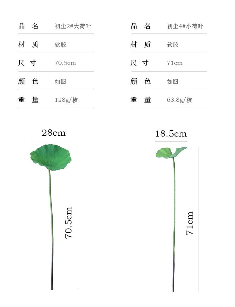 初尘荷花系列_06.jpg