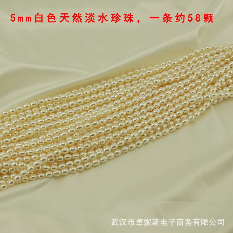 5白.jpg