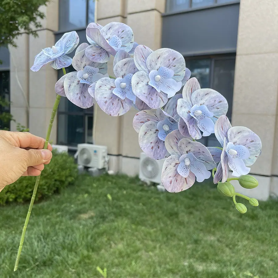 9头短杆3D打印蝴蝶兰-xlmwdx-浅紫蓝.JPG